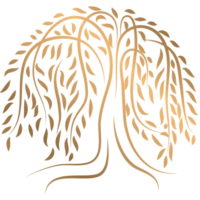 willow tree dental centre swiss cottage