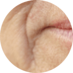 Marionette Lines Marionette Lines