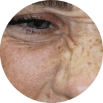 bunny lines bunny lines